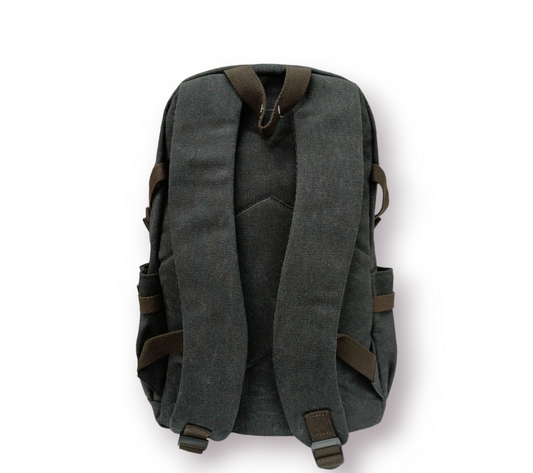 Morral Pokemon Pikachu