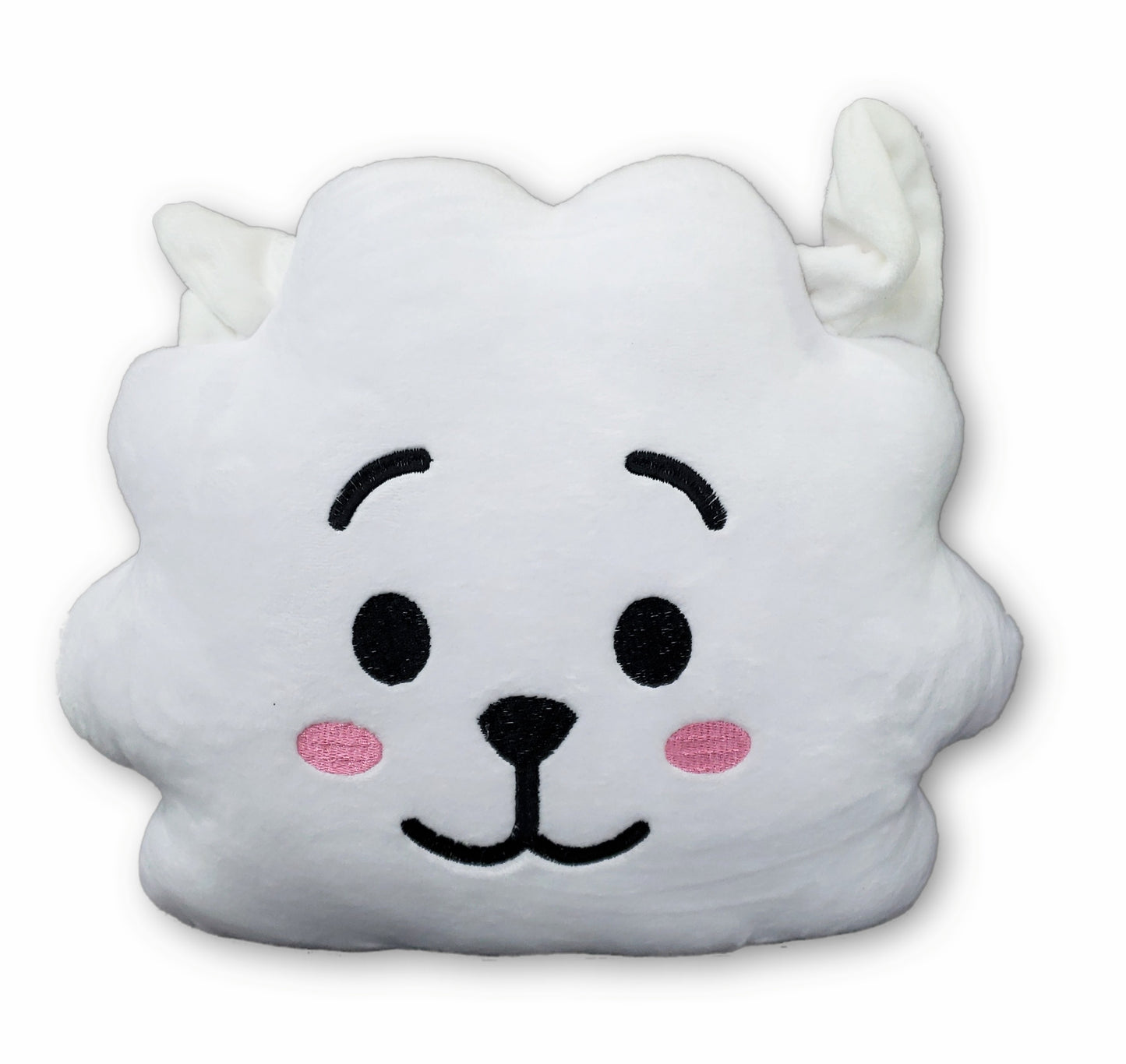Cojin Bts RJ