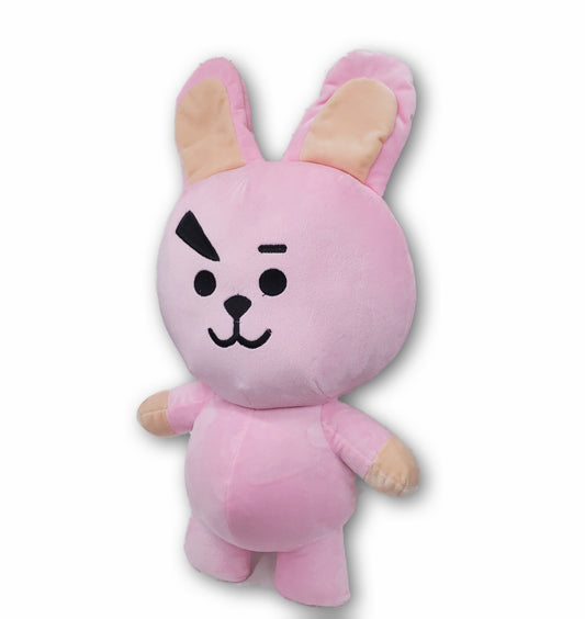 Peluche Bts Cooky