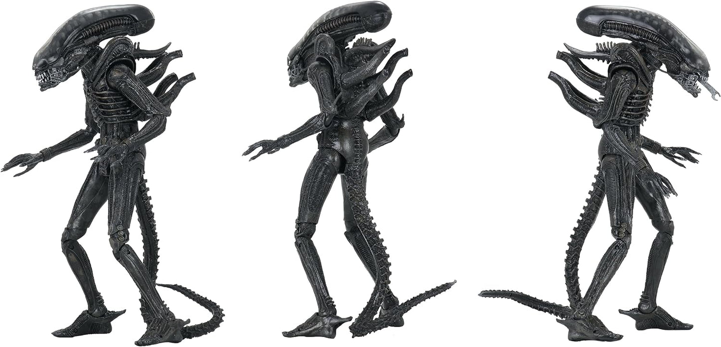 Figura Alien Big Chap ultimate edition Neca