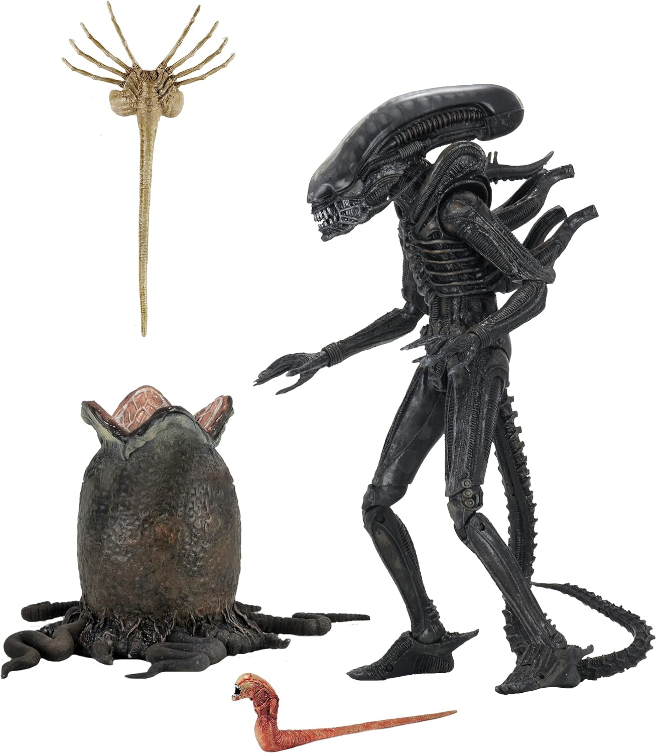 Figura Alien Big Chap ultimate edition Neca