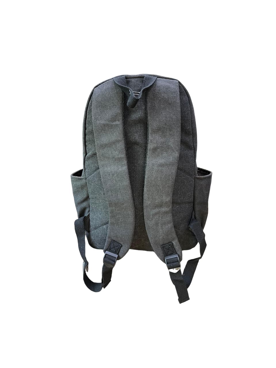 Morral Pokémon Charizard