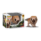 Funko Pop Aquilops Jurassic wolrd Rebirth 1802