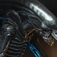 Figura Alien Neca escala 1/4